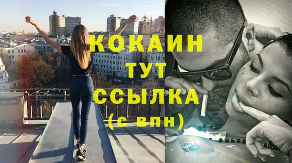 мет Алексин