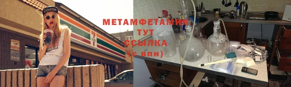 мет Алексин