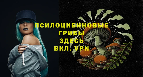 ГАЛЛЮЦИНОГЕННЫЕ ГРИБЫ Няндома