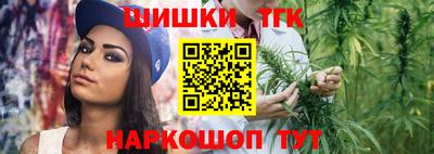 индика Краснознаменск
