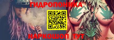 индика Краснознаменск