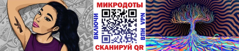 гидра зеркало Томск Псилоцибиновые грибы Psilocybine cubensis