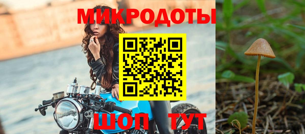 Галлюциногенные грибы Psilocybine cubensis  Вход с VPN  Томск  Галлюциногенные грибы Psilocybine cubensis 